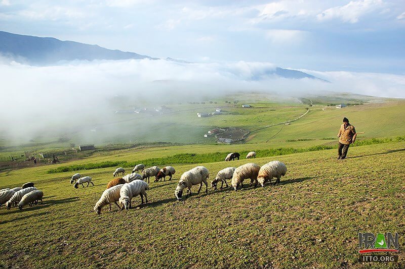Soubatan Village,Subatan,Suvatun Village,سوباتان,sobatan,soubatan,sobaatan,subataan,suvatan,taalesh,طالش,تالش,gilan,guilam,گیلان