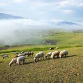 Village of Sobatan (Subatan) - Talesh