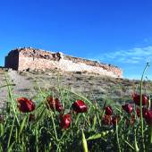 Tall-e Takht near Pasargadae