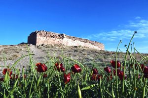 Tall-e Takht near Pasargadae