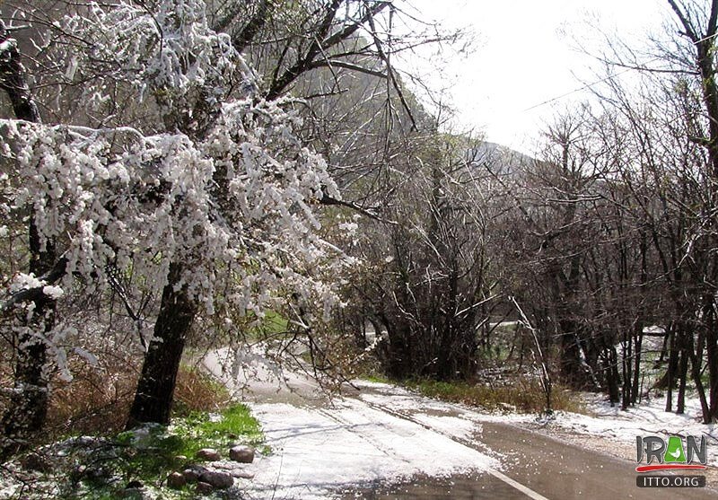 Chehelmir Protected area,Tandooreh National Park,Tandureh Park,Tandoreh,تندوره,پارک تندوره,tandoreh,tandureh,tandoureh,tandooreh,dargez,dargaz,درگز,خراسان رضوی,razavi khorasan,khorasan razavi,خراسان,khurasan razavi,razavi khurasan,چهل میر,چهلمیر,chelmir,chehelmir park