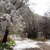 Tandoureh Protected Area - Dargaz (Khorasan Razavi)