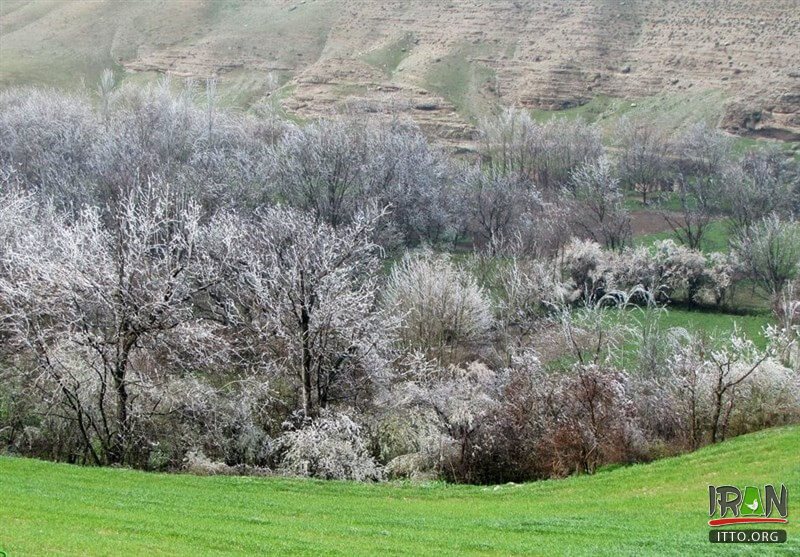 Chehelmir Protected area,Tandooreh National Park,Tandureh Park,Tandoreh,تندوره,پارک تندوره,tandoreh,tandureh,tandoureh,tandooreh,dargez,dargaz,درگز,خراسان رضوی,razavi khorasan,khorasan razavi,خراسان,khurasan razavi,razavi khurasan,چهل میر,چهلمیر,chelmir,chehelmir park