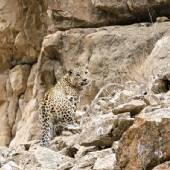 Tandoureh Protected Area - Dargaz (Khorasan Razavi)