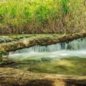 Tandoureh Protected Area - Dargaz (Khorasan Razavi)