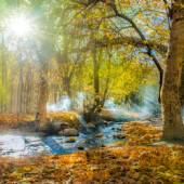 Tandoureh Protected Area - Dargaz (Khorasan Razavi)