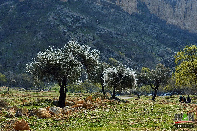 Tang-e Bovan,Bovaan Gorge,Tangeh-e Bovan,نورآباد ممسنی,نوراباد ممسنی,نورابادممسنی,mamasani,nourabad,fars province,استان فارس,tangeh bovan,tang bovaan,bovan canyon