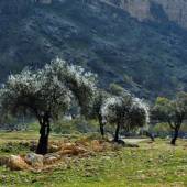 Bovan Gorge (Tang-e Bovan) - Fars Province