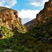 Shirz Canyon - koohdasht