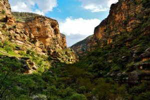Shirz Canyon - koohdasht