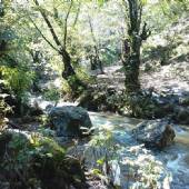Bovan Gorge (Tang-e Bovan) - Fars Province