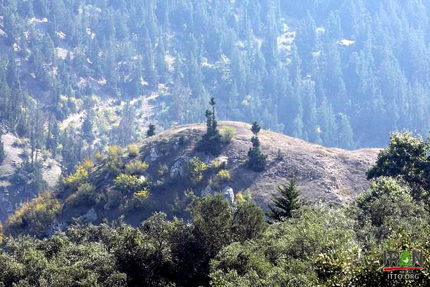 Marlik Archaeological Region,Maarlik Archaeological Site,Cheragh-Ali Tepe,Cheraghali Hill,رودبار,مارلیک,تپه مارلیک,marliktepe,marlik teppe,tappeh marlik,roudbar,gilan province,رودبار,استان گیلان,goharrud,gowhar rood,gowharrud