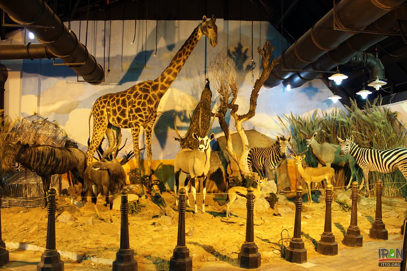 Natural Monuments and Wildlife Museum (Dar Abad),Iran Darabad Museum of Nature & Wildlife,Tehran's Nature and Wildlife Museum of Darabad,Darabad museum