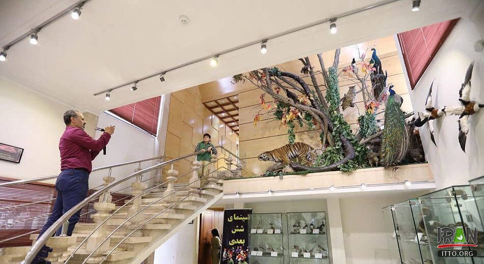 Natural Monuments and Wildlife Museum (Dar Abad),Iran Darabad Museum of Nature & Wildlife,Tehran's Nature and Wildlife Museum of Darabad,Darabad museum