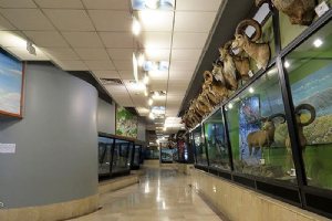 Iran Wildlife and Nature Museum - Dar Abad (Tehran)