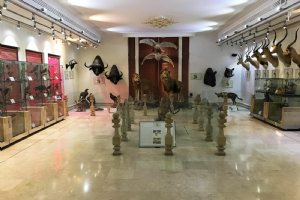 Iran Wildlife and Nature Museum - Dar Abad (Tehran)