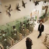 Iran Wildlife and Nature Museum - Dar Abad (Tehran)
