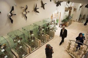 Iran Wildlife and Nature Museum - Dar Abad (Tehran)