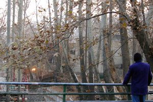Evin Valley, Darakeh