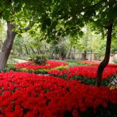 Persian Garden - Tehran