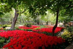 Persian Garden - Tehran