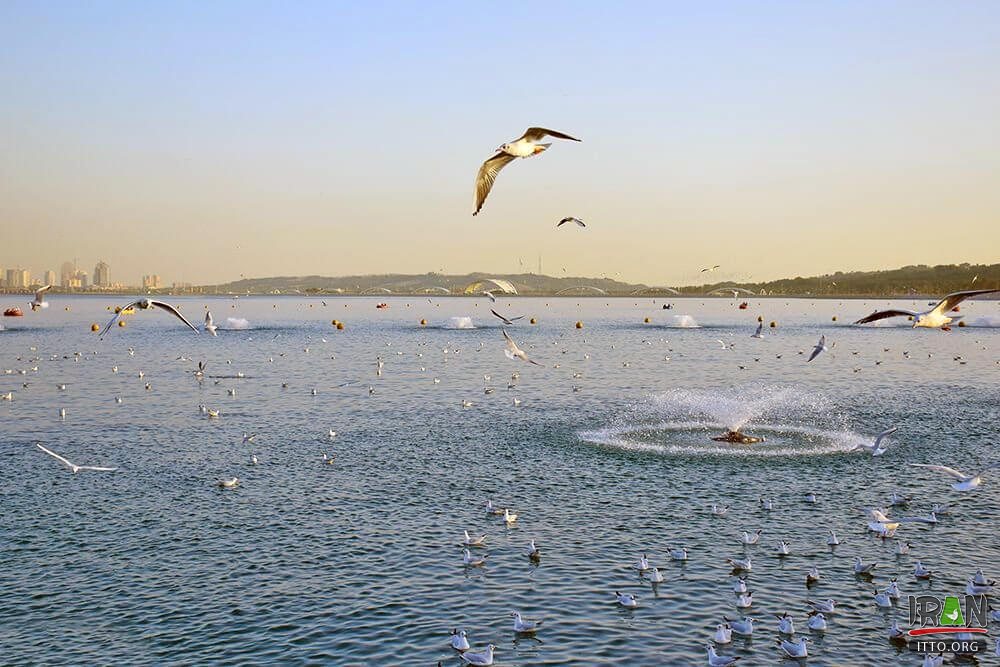 Lake of the Martyrs of the Persian Gulf,Daryache-ye Chitgar,Khalij-e Fars lake,Chitgar artificial lake,دریاچه خلیج فارس تهران,دریاچه چیتگر,دریاچه تهران,tehran lake,tehran chitgar lake,daryache khalij fars,persian gulf lake,daryache chitgar,دریاچه شهدای خلیج فارس