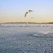 Chitgar Lake (Khalij-e Fars) - Tehran