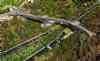 پل طبیعت,pooletabiat,poltabiat,nature bridge,tabiat bridge