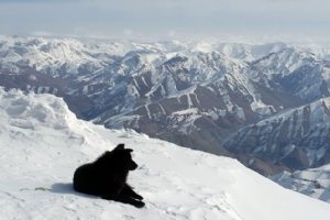 Tochal Mountain