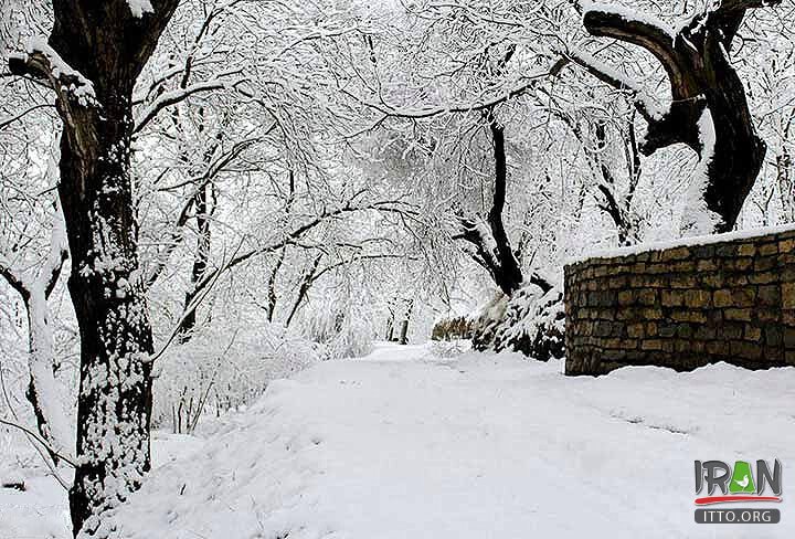 Darreh Serkan,Dareye Serkan,Tuyserkan valley,دره تویسرکان,toiserkan valley,Tuyeserkan valley,darre serkan,darrehe serkan,serkan dareh,dareh serkan,dareh toiserkan,toiserkan valley,hamedan nature,hamedan province,استان همدان,طبیعت همدان