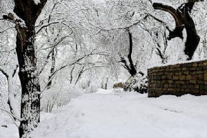 Serkan Valley near Tuyserkan