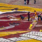 World's largest soil carpet - Hormoz Island - Persian Gulf