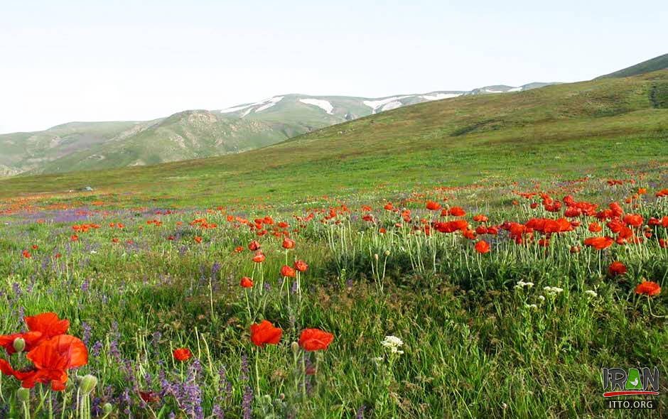 ahar,east azarbaijan province,east azerbaijan,آذربایجان شرقی,منطقه حفاظت شده یاری قاری,yariqari protected area