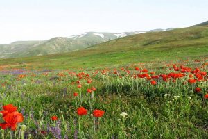 Yari Ghari Protected Area