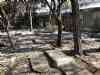 Zahirodole Cemetry,Zahir-od-Dowleh Cemetery,zahiroddoloh,sarband,maieri,moayeri,moayery,foroogh,forough,farokhzaad,farrokhzad,farokhzad,forogh,forouq,foroq,raha,رهی معیری,فروغ فرخزاد,ایرج میرزا,دربند,قبرستان,ظهیرالدوله,زهیرالدوله,آرامگاه,قبر,گورستان,قبرستان ظهیرالدوله,persian poem,persian poet,forogh farokhzad,forugh farokhzad,irajmirza,iraj mirza