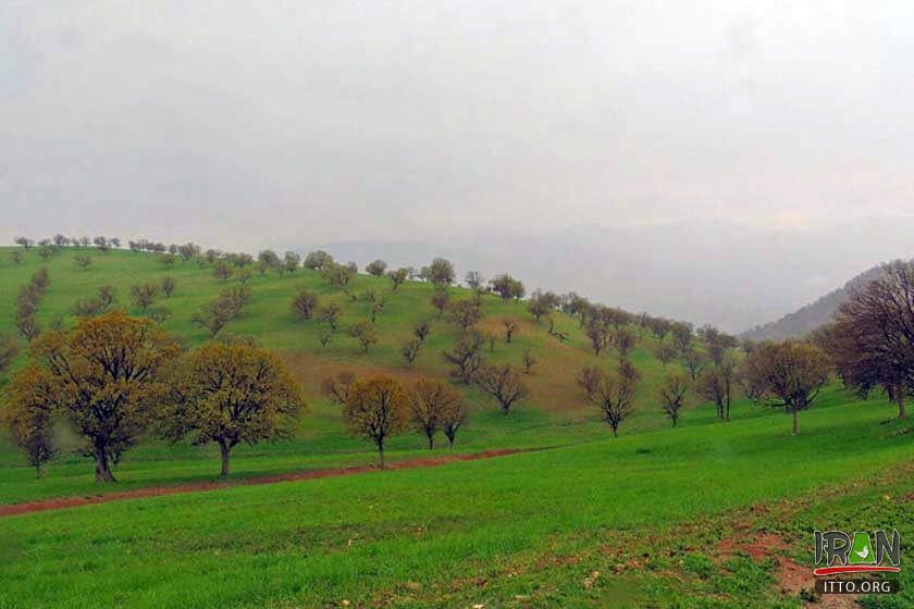 Zaraas Tourism Complex,دهکده گردشگری زراس,دریاچه کارون سه,karoon,zaraz village,khouzestan,khuzistan province,zaras tourist village,سد کارون,زاگروس,زاگرس,zagros mountain,zagrus mountain,zagroos,zagrus