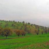 Zaras Tourist Village A Gem in Heart of Zagros Mountains