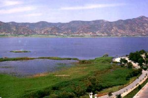 Zarivar Lake - Marivan (Kurdistan)
