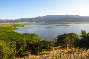 Zarivar Lake - Marivan (Kurdistan)