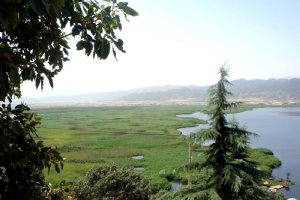 Zarivar Lake - Marivan (Kurdistan)