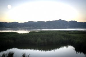 Zarivar Lake - Marivan (Kurdistan)