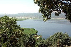 Zarivar Lake - Marivan (Kurdistan)