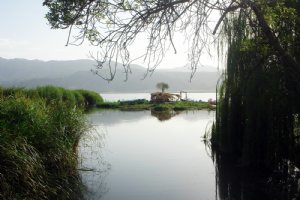 Zarivar Lake - Marivan (Kurdistan)